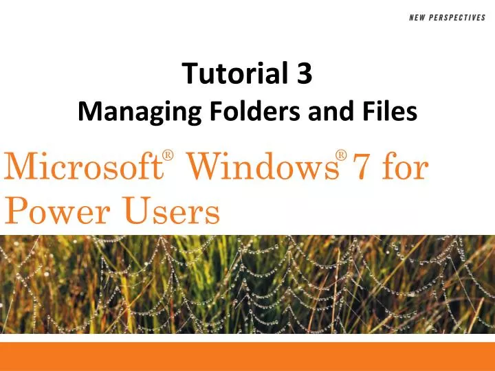 tutorial 3 managing folders and files