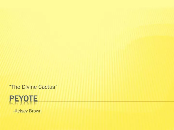 the divine cactus