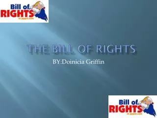 The Bill Of Rights