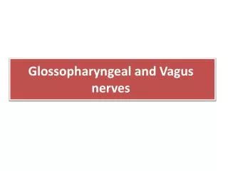 Glossopharyngeal and Vagus nerves