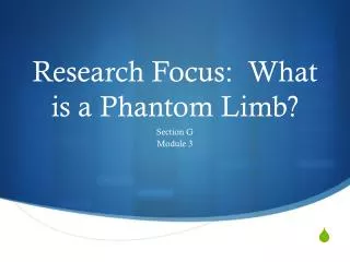 Research Focus: What is a Phantom Limb?