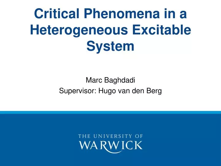 critical phenomena in a heterogeneous excitable system