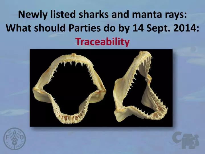 newly listed sharks and manta rays what should parties do by 14 sept 2014 traceability