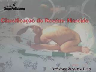 classifica o do rec m nascido