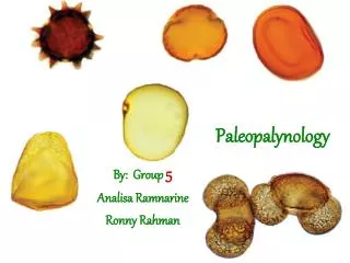 Paleopalynology