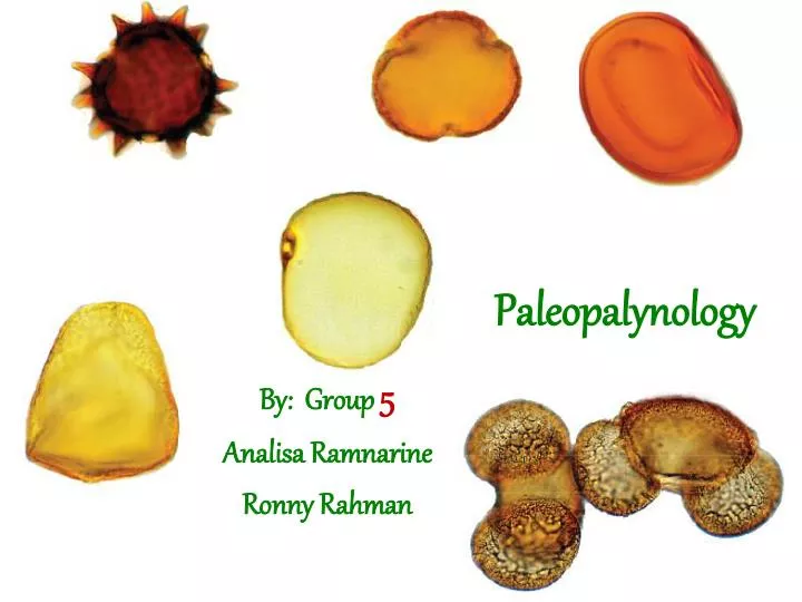 paleopalynology