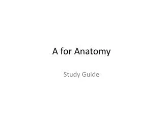 A for Anatomy