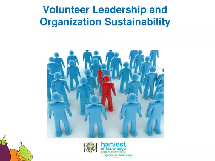 volunteer leadership and organization sustainability