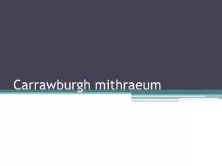 Carrawburgh mithraeum