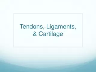 Tendons, Ligaments, &amp; Cartilage