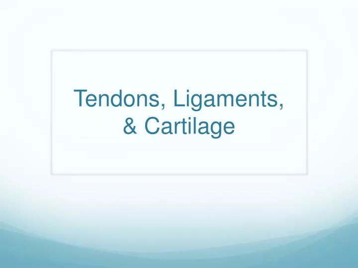 tendons ligaments cartilage