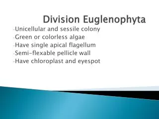 Division Euglenophyta