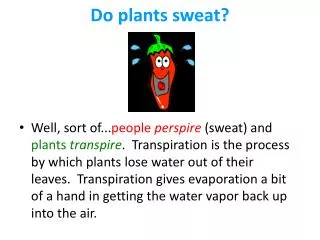 do plants sweat