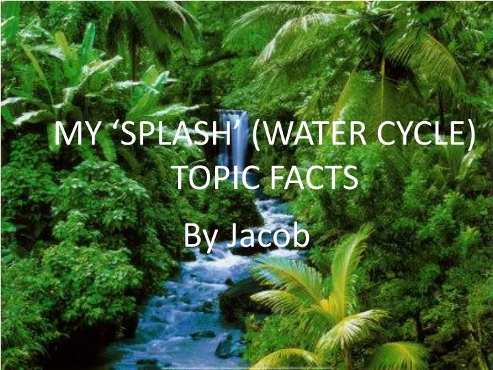 my splash water cycle topic facts