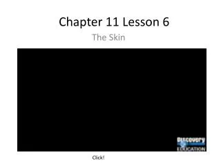 Chapter 11 Lesson 6