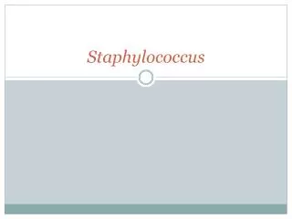 staphylococcus
