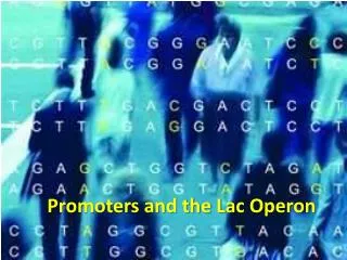 Promoters and the Lac Operon