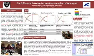 The Difference Between Enzyme Reactions due to Varying pH