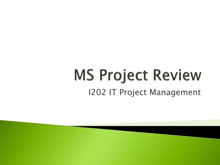 ms project review