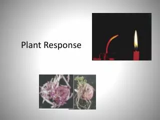 Plant Response