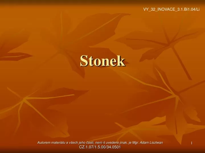 stonek