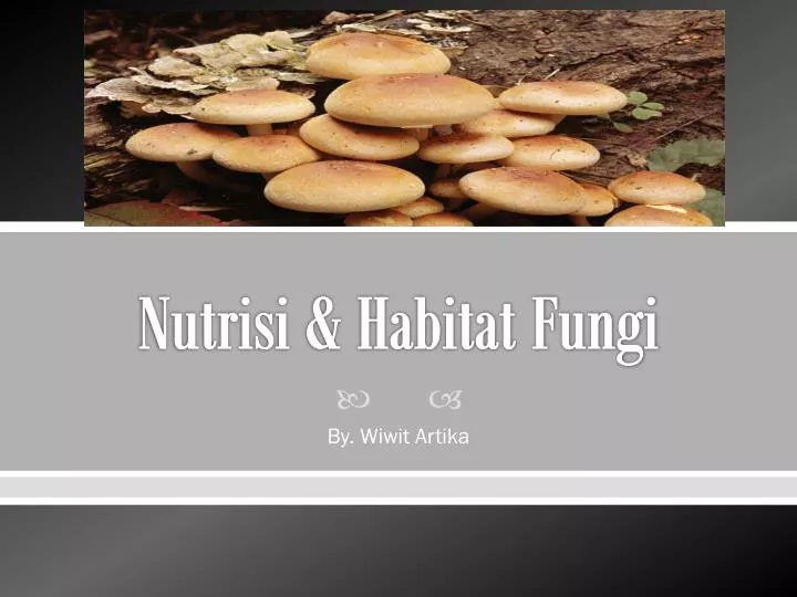 nutrisi habitat fungi