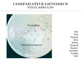 Comparative Genomics Final Results