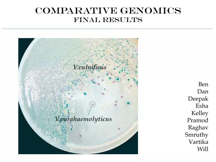 comparative genomics final results