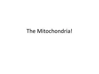 The Mitochondria!