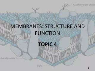 MEMBRANES: STRUCTURE AND FUNCTION