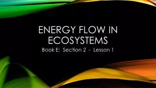Energy flow in ecosystems