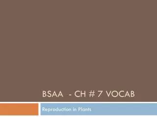 BSAA - CH # 7 Vocab