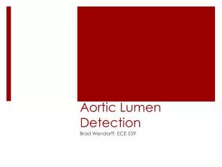 Aortic Lumen Detection