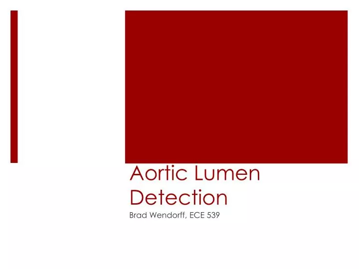 aortic lumen detection