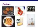 Proteins - slide 1