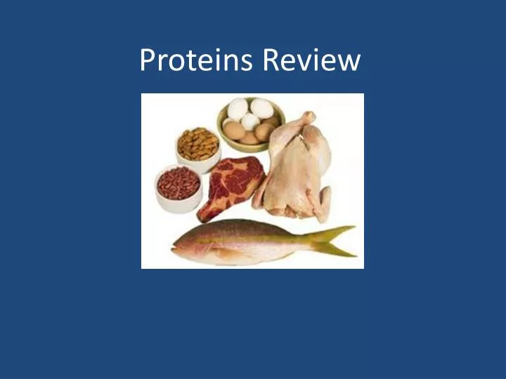 proteins review
