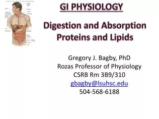 Digestion and Absorption Proteins and Lipids