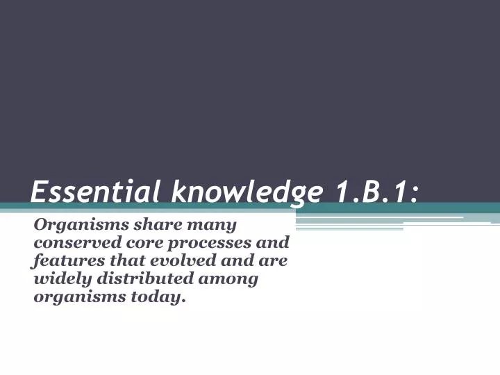 essential knowledge 1 b 1