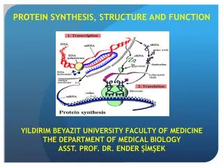 PROTEIN SYNTHESIS, STRUCTURE AND FUNCTION YILDIRIM BEYAZIT UNIVERSITY FACULTY OF MEDICINE