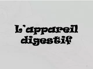 l appareil digestif