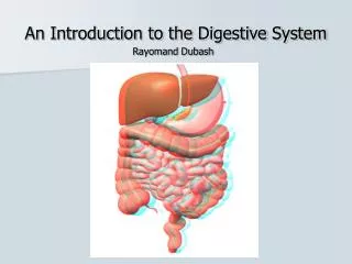 An Introduction to the Digestive System