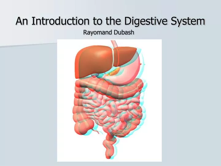 an introduction to the digestive system