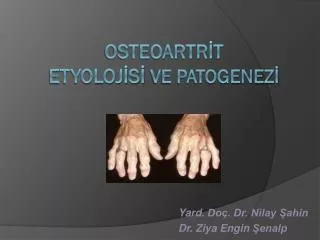 yard do dr nilay ahin dr ziya engin enalp