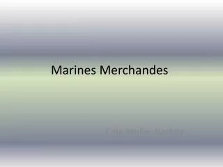 marines merchandes