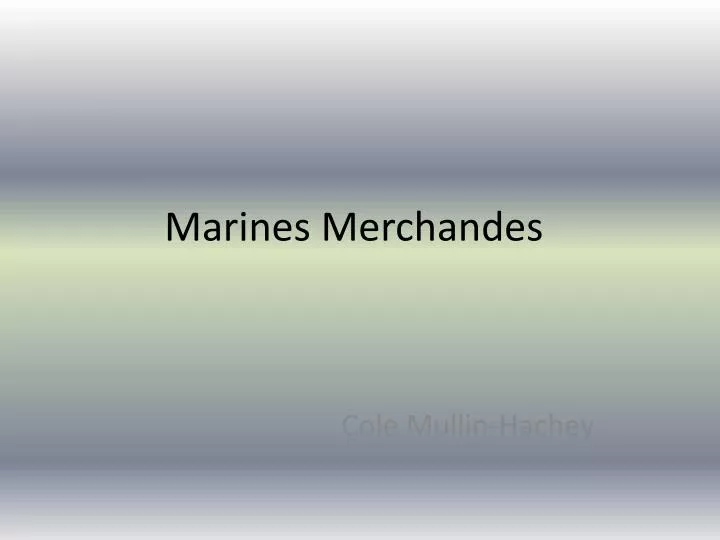 marines merchandes