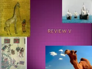 Review V