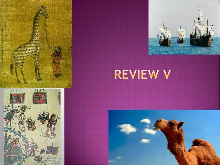 review v