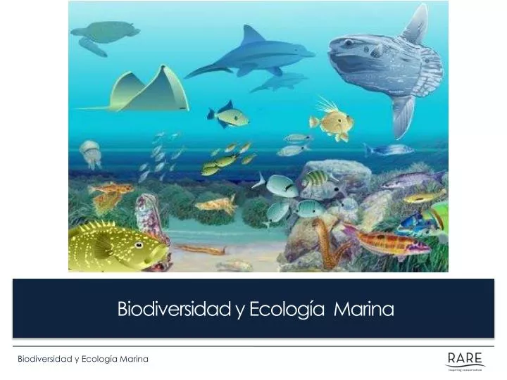 biodiversidad y ecolog a marina