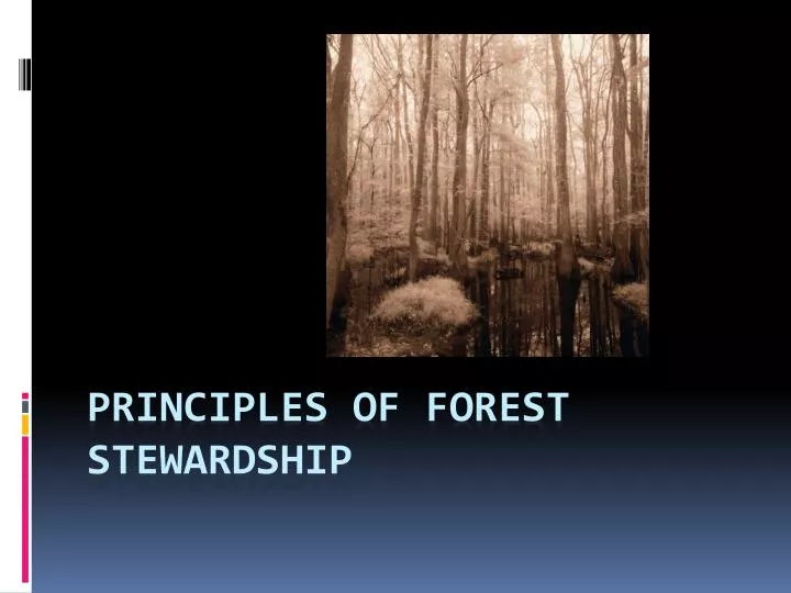 principles of forest stewardship
