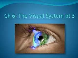 Ch 6: The Visual System pt 3